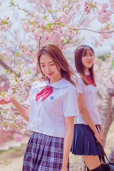逆藤全文